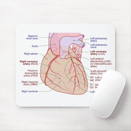 Koronare Arterien Umlaufdiagramm des menschlichen Mousepad (Mit Mouse)