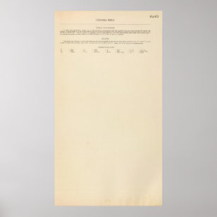 Körperliche Legende 16263 Ozeaniens Poster