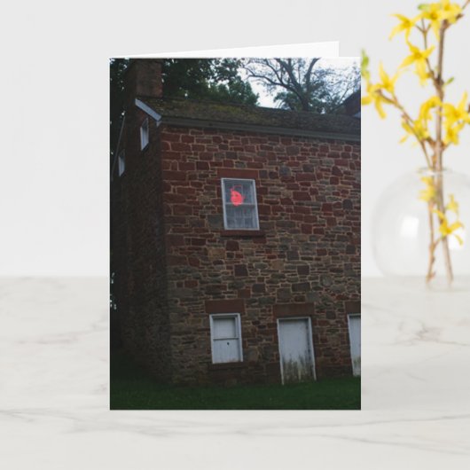 Körperlose Erscheinung Karte (Gelbe Blume)