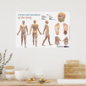 Körperpunkte und Längen Poster (Küche)