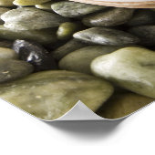 Körperscheuerbürste auf Felsen Poster (Ecke)