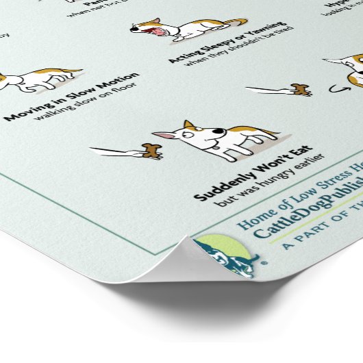 Körpersprache der Angst im Hunde-Poster Poster (Ecke)