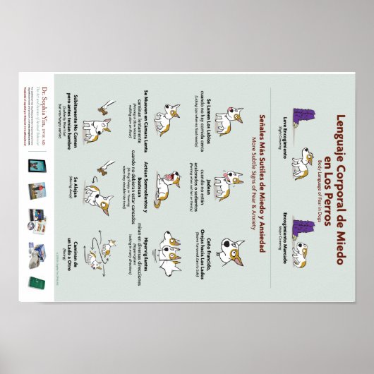 Körpersprache der Angst im Hunde-Poster (Spanisch) Poster (Vorne)