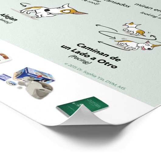 Körpersprache der Angst im Hunde-Poster (Spanisch) Poster (Ecke)