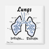 Körperteile — menschliche Lungen Magnet (Vorne)