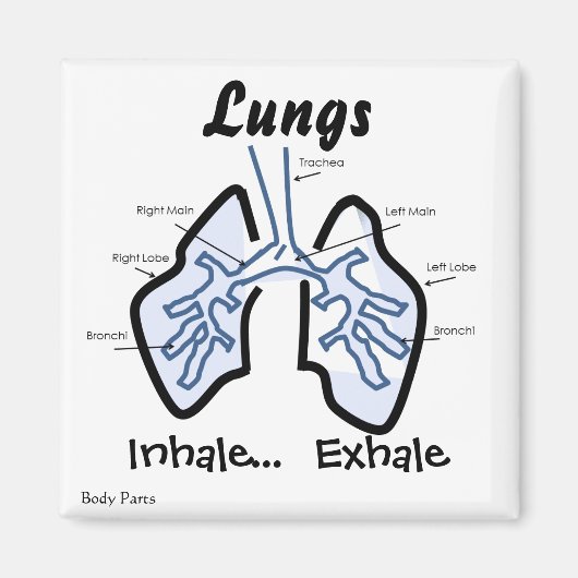 Körperteile — menschliche Lungen Magnet (Vorne)