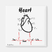 Körperteile — menschliches Herz Magnet (Vorne)