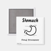 Körperteile — menschliches Magen Magnet (Vorderseite/Rückseite)