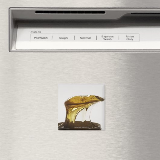 Körperwachs Magnet (In Situ (Geschirrspüler))