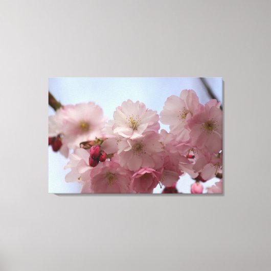 Körsbärsblommor - Canvas Leinwanddruck (Vorderseite)