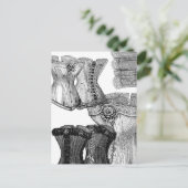 Korsetts und mehr Korsetts Postkarte (Stehend Vorderseite)