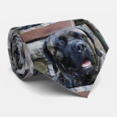 Korsograu Krawatte (Gerollt)