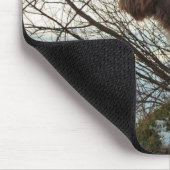 - Korthals Griffon - Tsjip Zeigen Mousepad (Ecke)