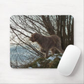 - Korthals Griffon - Tsjip Zeigen Mousepad (Mit Mouse)