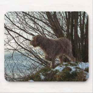 - Korthals Griffon - Tsjip Zeigen Mousepad