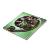 Koru entfaltendes Farnblatt Fliese (Seite)