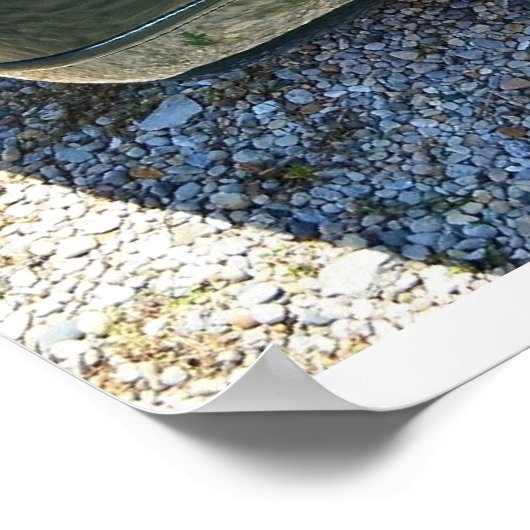 Korvette C4 1992 Poster (Ecke)