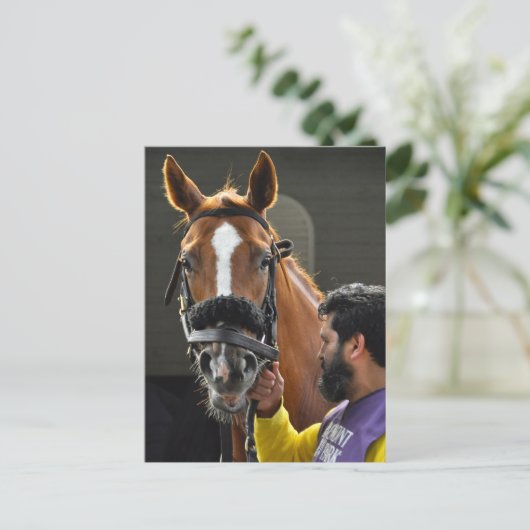 Kosciuszko Postkarte (Stehend Vorderseite)