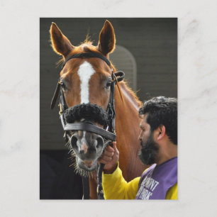 Kosciuszko Postkarte