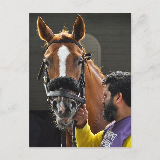 Kosciuszko Postkarte (Vorderseite)