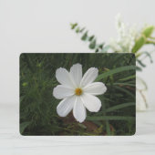 Kosmea Feiertagskarte (Stehend Vorderseite)