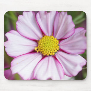 Kosmee-Blume (bidens formosa) Mousepad