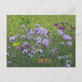 Kosmetik & Rapeseed Field werden bald gut auf Post Postkarte