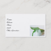 Kosmetik Visitenkarte (Rückseite)