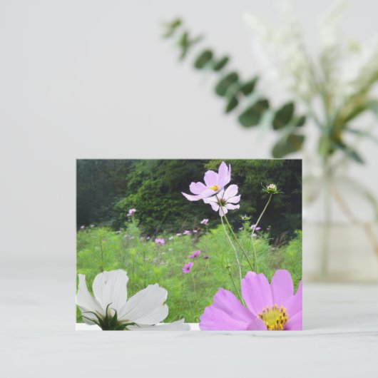 Kosmetik, Wild Blume Feld DIY Postkarte (Stehend Vorderseite)