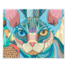 Kosmic Sphynx Cat