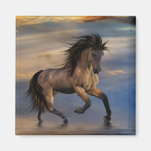 Kosmisch. wilder Stallion Magnet