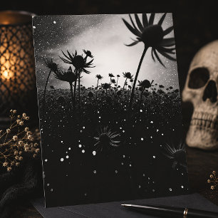 Kosmische Blüte Schwarz-Weiß Sternen-Wildblume Postkarte