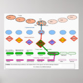 Kosmische Evolution in der Anthroposophie Poster (Vorne)