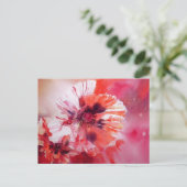 Kosmische Poppies Postkarte (Stehend Vorderseite)