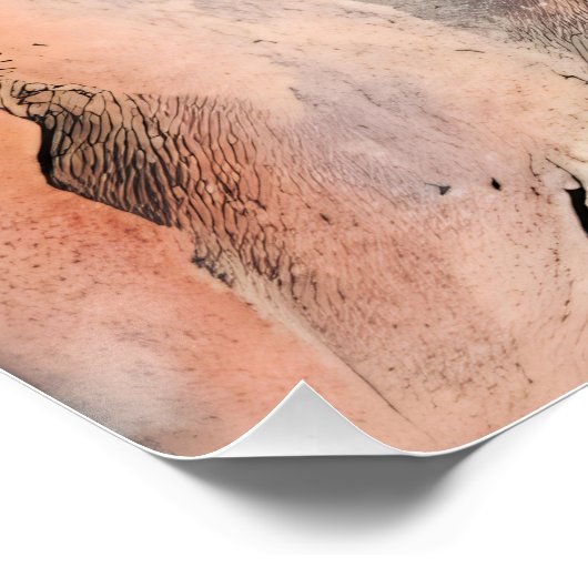 kosmische Transformation Poster (Ecke)