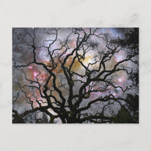 Kosmischer Baum - Kollidierende Galaxien Postkarte