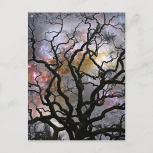 Kosmischer Baum - Kollidierende Galaxien Postkarte