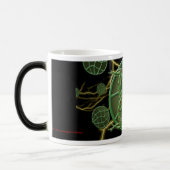 Kosmischer Frosch Verwandlungstasse (Links)