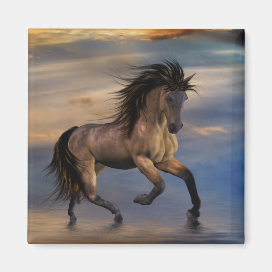 Kosmischer Hengst Magnet (Vorne)