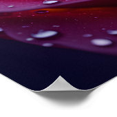 Kosmischer Nektar Poster (Ecke)