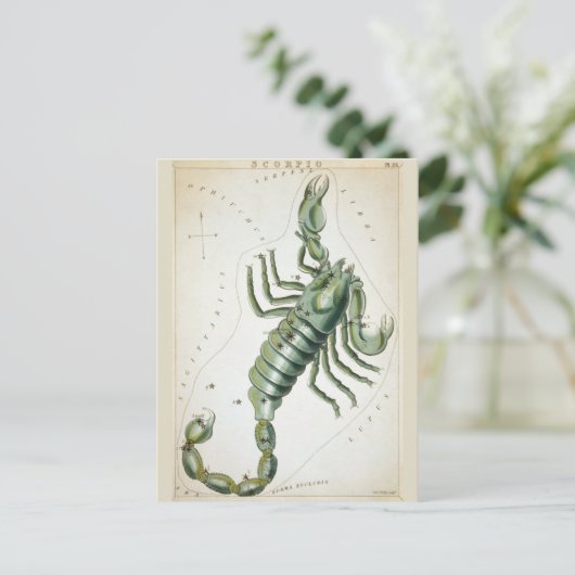 Kosmischer Skorpio Zodiac Postkarte (Stehend Vorderseite)