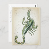 Kosmischer Skorpio Zodiac Postkarte (Vorne/Hinten)