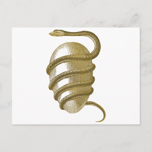 Kosmisches Ei Postkarte (Vorderseite)