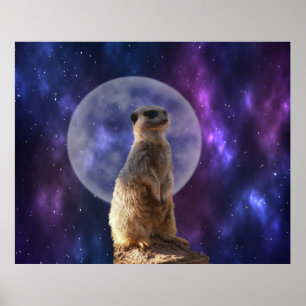 Kosmisches Sentinel: Meerkat unter dem Vollmond Poster
