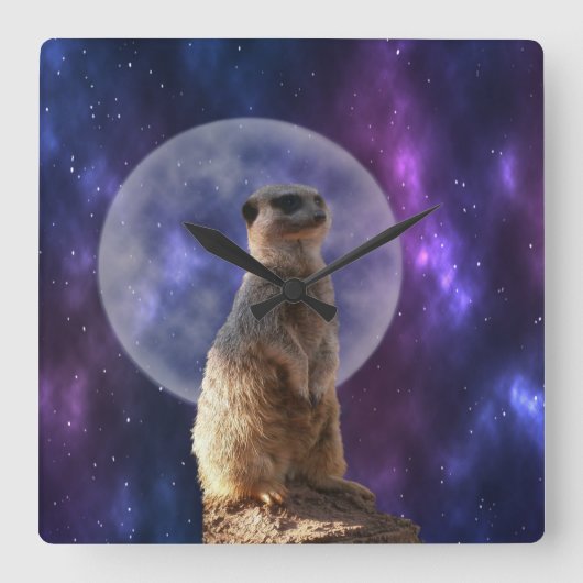 Kosmisches Sentinel: Meerkat unter dem Vollmond Quadratische Wanduhr (Vorderseite)