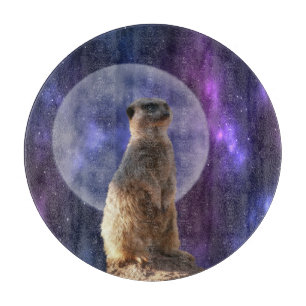 Kosmisches Sentinel: Meerkat unter dem Vollmond Schneidebrett