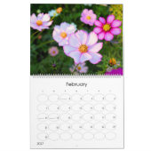 Kosmokalender Kalender (Feb 2027)