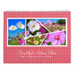 Kosmokalender Kalender