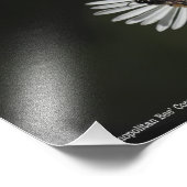 Kosmopolitische Biene Fotodruck (Ecke)