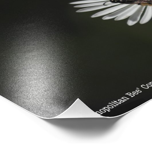 Kosmopolitische Biene Fotodruck (Ecke)